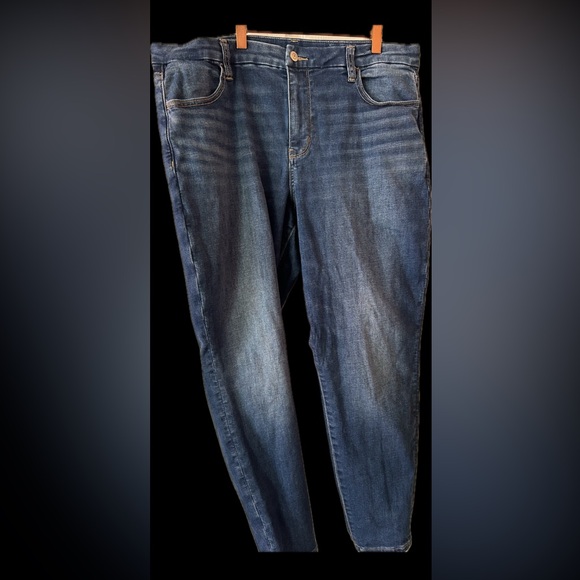 American Eagle Outfitters Denim - American Eagle Outfitters Men's Relaxed Blue Jeans